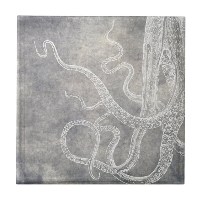 Kustvattenfärg Octopus Silver Pewter-Neutralt Kakelplatta (Framsidan)