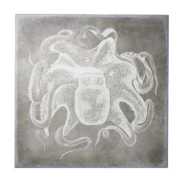Kustvattenfärg Octopus Silver Pewter-Neutralt Kakelplatta
