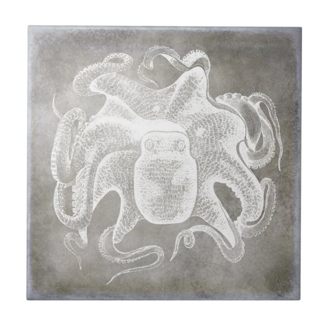 Kustvattenfärg Octopus Silver Pewter-Neutralt Kakelplatta (Framsidan)