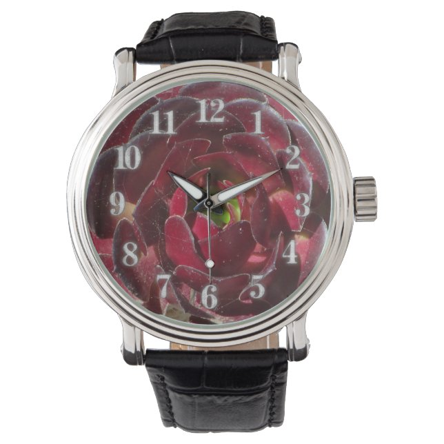 Kustväxten Photo Red Burgundy Succuly Armbandsur (Framsida)