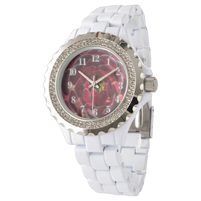 Kustväxten Photo Red Burgundy Succuly Armbandsur (Vinklad)