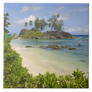 Kustvy på Mahe Island Kakelplatta