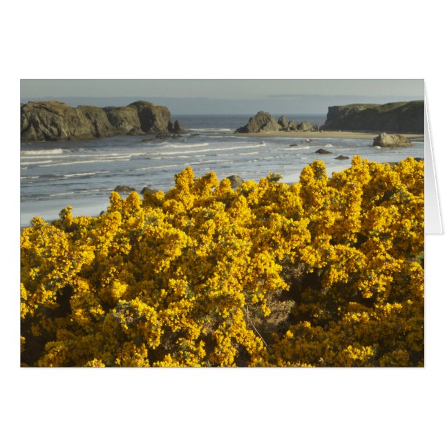 Kustvyer, Bandon, Oregon Hälsningskort (Framsidan Horizontal)