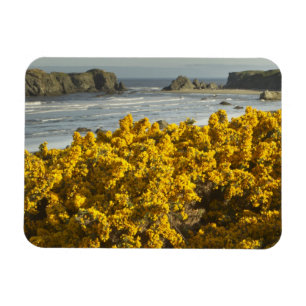 Kustvyer, Bandon, Oregon Magnet