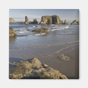 Kustvyer, Bandon, Oregon Magnet