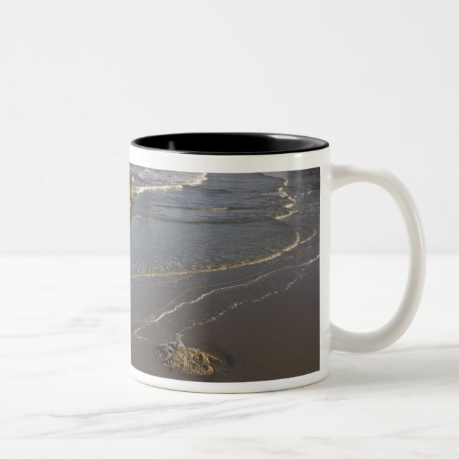 Kustvyer, Bandon, Oregon Två-Tonad Mugg (Höger)