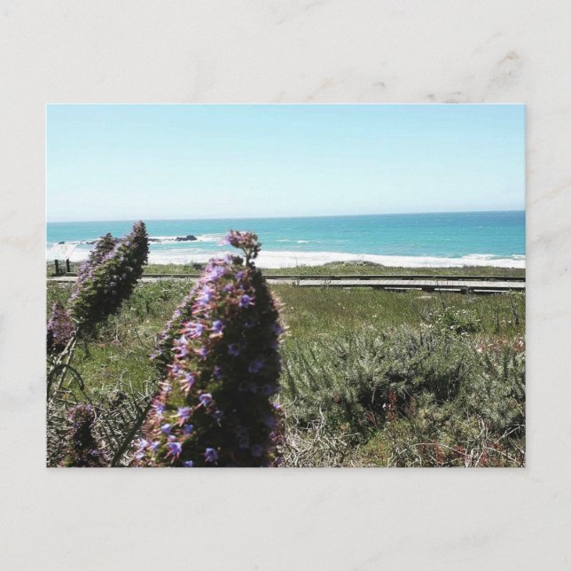 Kustvykort Vykort (Framsida)