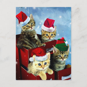 Kutade kattungar med x-mas-hattar vykort