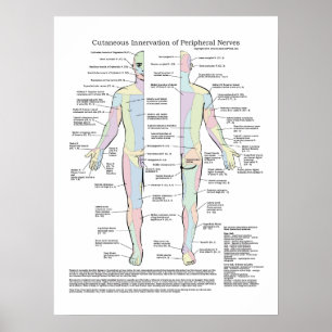 Kutan stimulering av perifera nervsystemet Poster