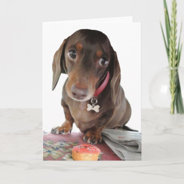 Kute dachshund Pluto-sorgligt gratulationskort för Kort (Framsida)