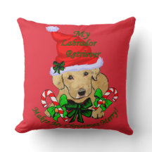 Kute, Gul lab marionettjul