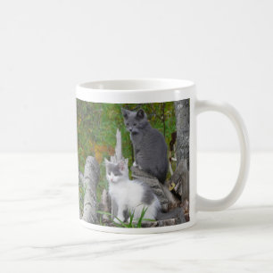 Kute kattungar kaffemugg
