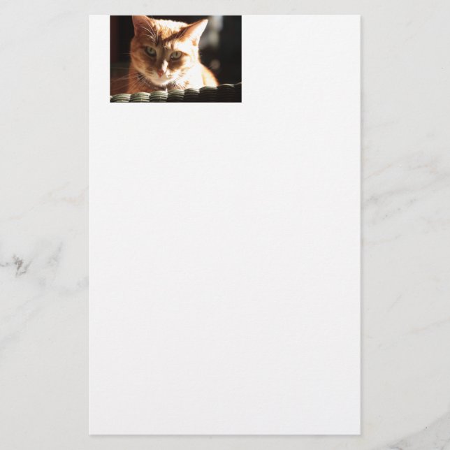 Kute Kattunge! Brevpapper (Framsida)