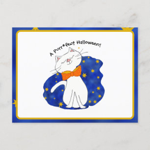 Kute Kattunge Starry Night Halloween Helg Vykort
