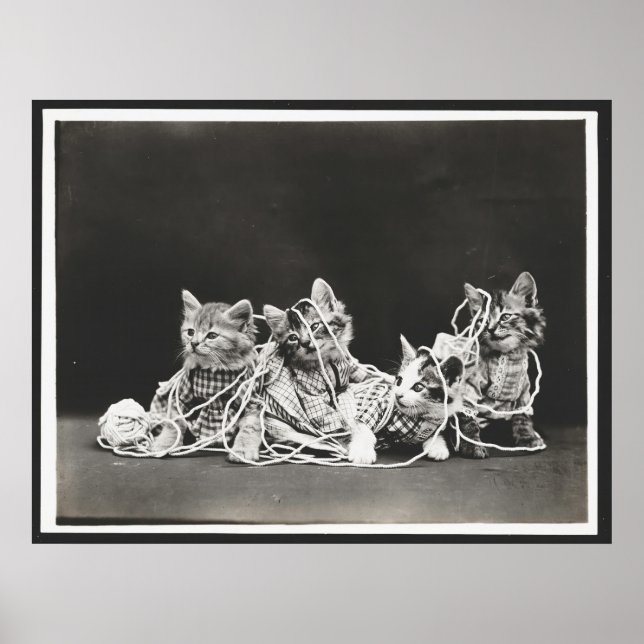 Kute Kittens snärjda i garnkonst Skriv ut Poster (Framsidan)
