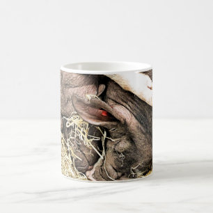 KUTE LITTLE PIGS KAFFEMUGG