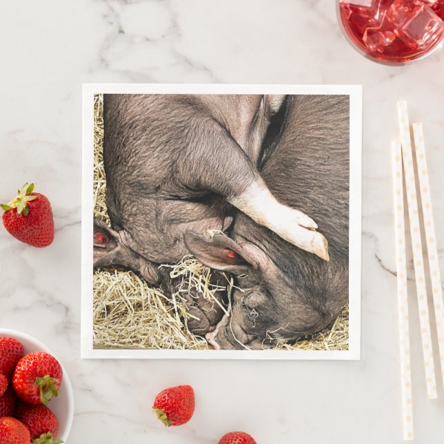 KUTE LITTLE PIGS PAPPERSSERVETT (Insitu)