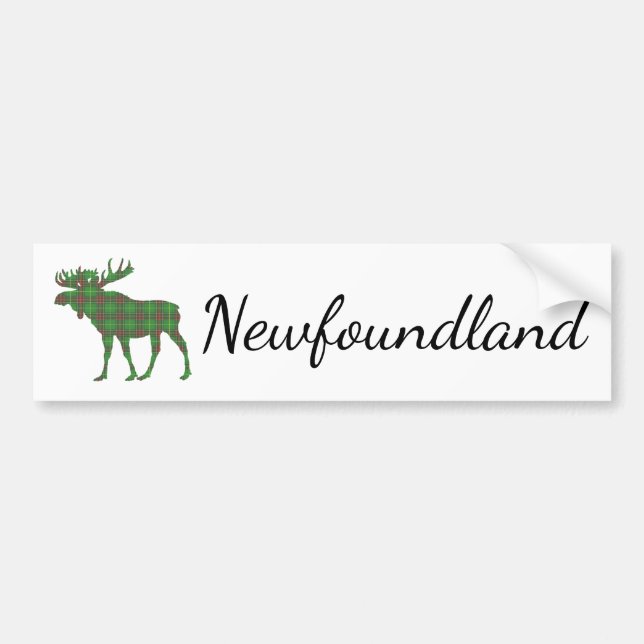 Kute Newfoundland - tartan - stötfångare Bildekal (Framsidan)