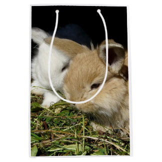 Kute, små fluffy bunnies