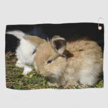 Kute, små fluffy bunnies