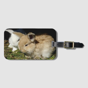 Kute, små fluffy bunnies bagagebricka