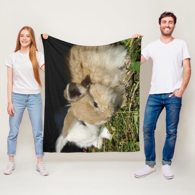 Kute, små fluffy bunnies fleecefilt (På plats)