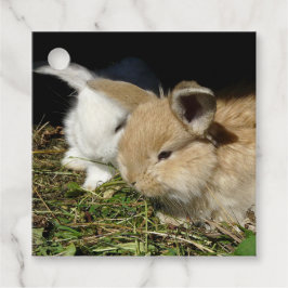 Kute, små fluffy bunnies gåvor etiketter