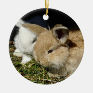 Kute, små fluffy bunnies julgransprydnad keramik