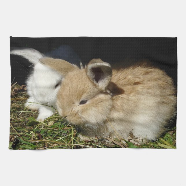 Kute, små fluffy bunnies kökshandduk (Horisontell)