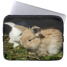 Kute, små fluffy bunnies