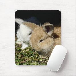 Kute, små fluffy bunnies musmatta