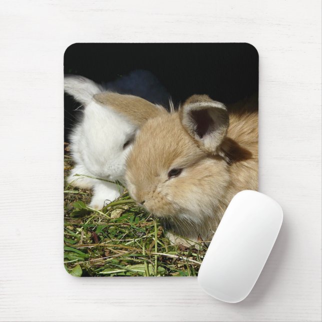 Kute, små fluffy bunnies musmatta (Med mus)