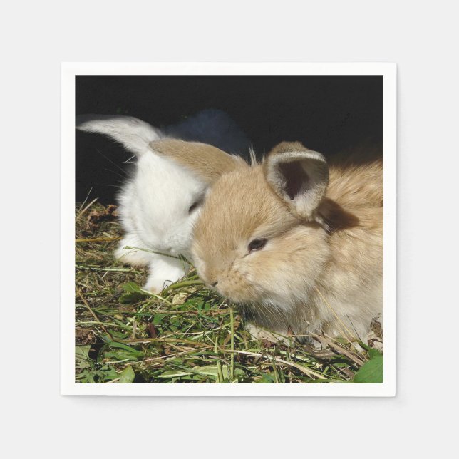 Kute, små fluffy bunnies pappersservett (Framsidan)