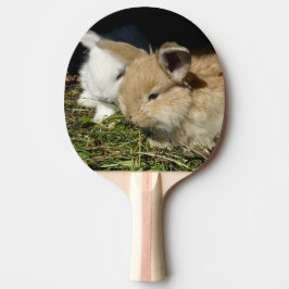 Kute, små fluffy bunnies pingisracket