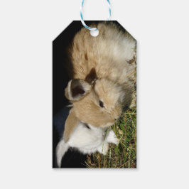 Kute, små fluffy bunnies presentetikett