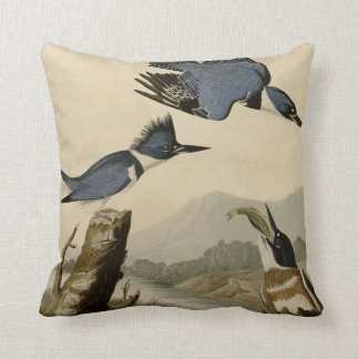 Kuten Kingfisher Kudde