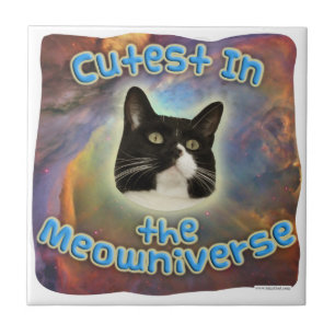 Kutest i Meowniverse Kakelplatta
