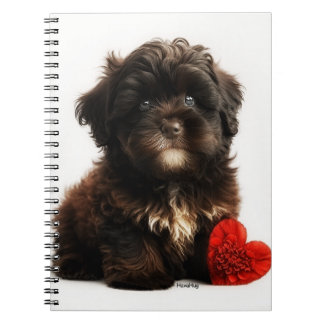 Kutest Valentine, Chocolate Havanese Puppy Anteckningsbok