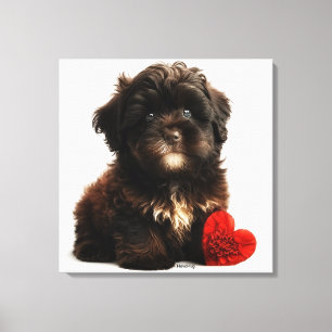 Kutest Valentine, Chocolate Havanese Puppy Canvastryck