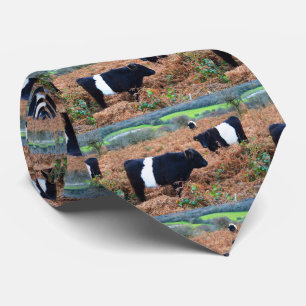 Kutit Galloway nötkreatur Slips