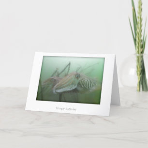 Kuttlefish Birday Card Kort