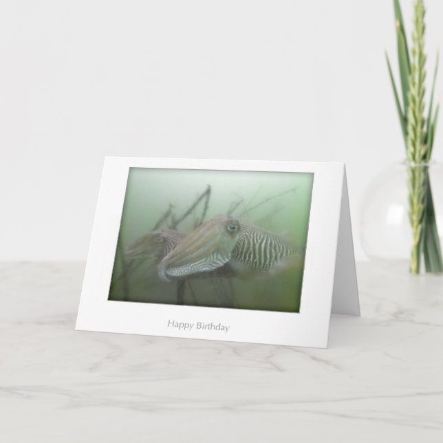 Kuttlefish Birday Card Kort (Framsida)