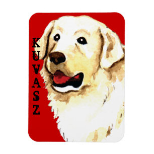 Kuvasz Färg Block Magnet
