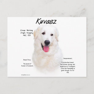Kuvasz-historikdesign Vykort