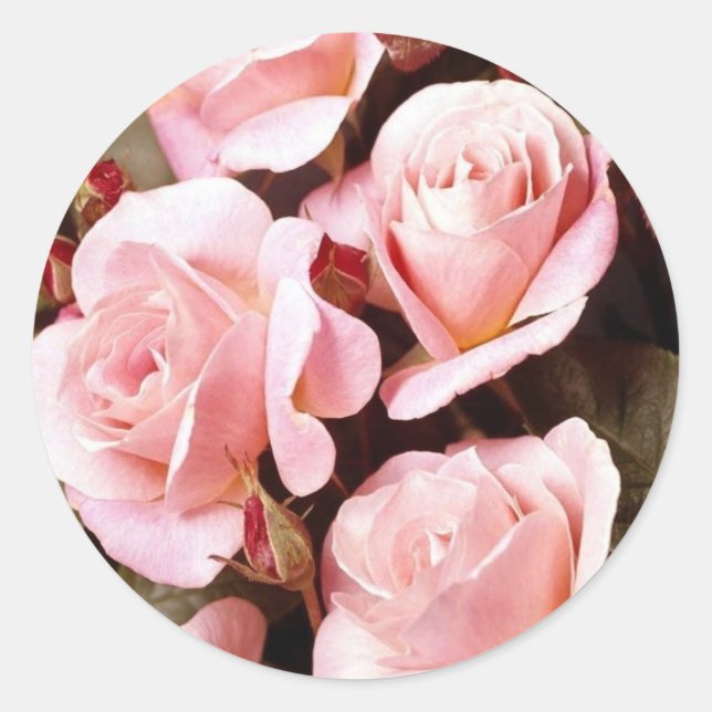 Kuvertförsegling Runt Klistermärke (Framsida)