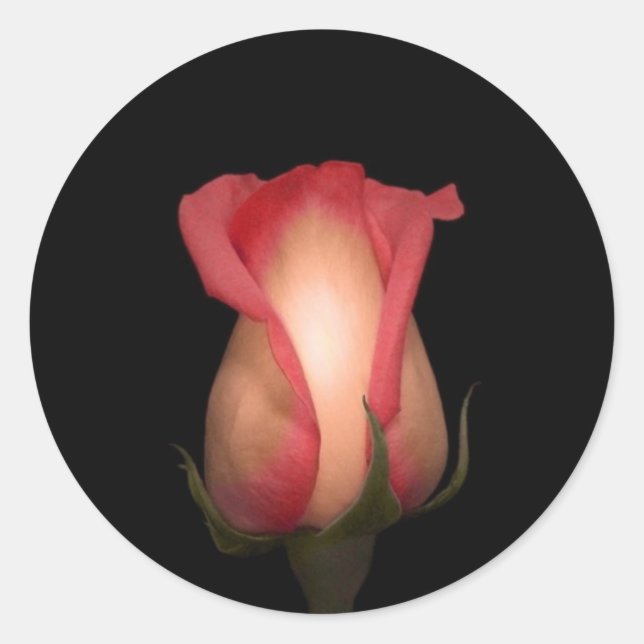 Kuvertförseglingar rosa ros runt klistermärke (Framsida)