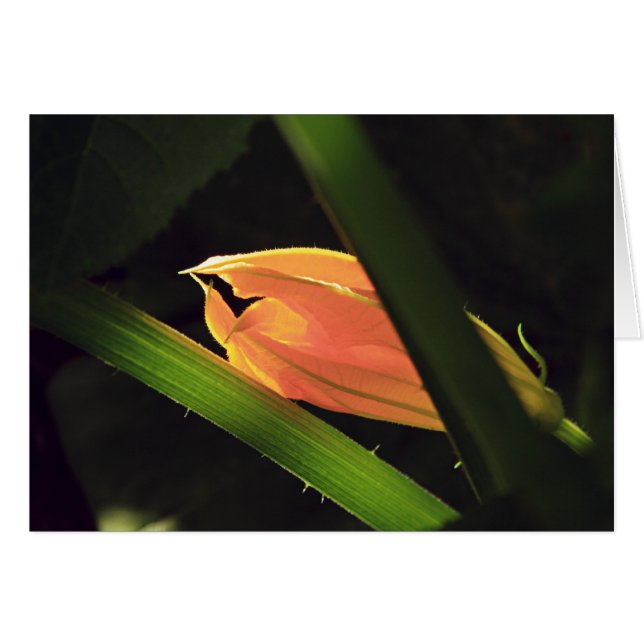 Kvadratisk Blommar Hälsningskort (Framsidan Horizontal)