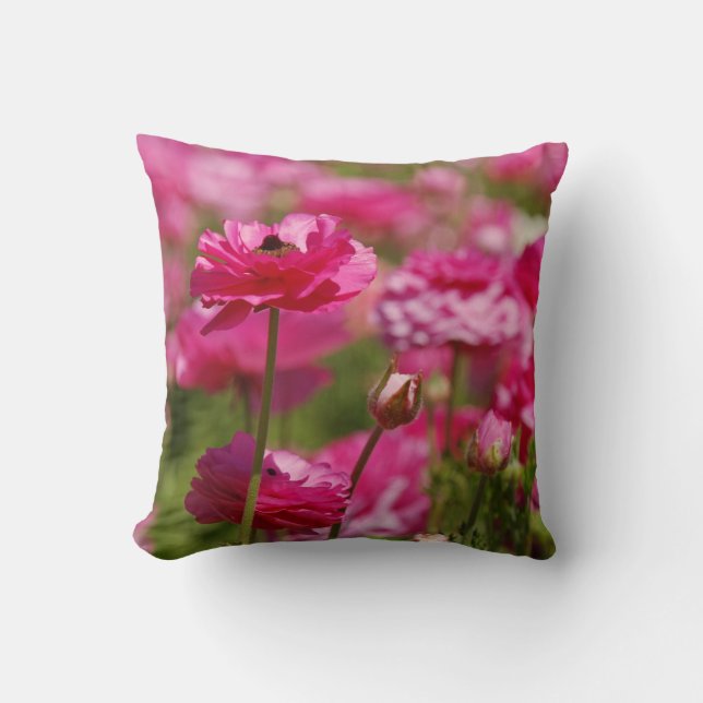 Kvadratisk Dekorativ kudde med Rosa Ranunculus Des (Framsida)