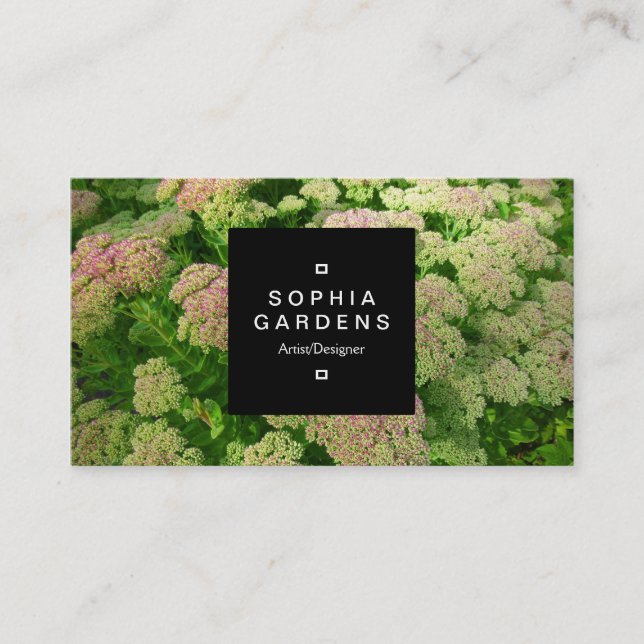 Kvadratisk etikett 01a - Högerhörning för sedum Visitkort (Framsida)