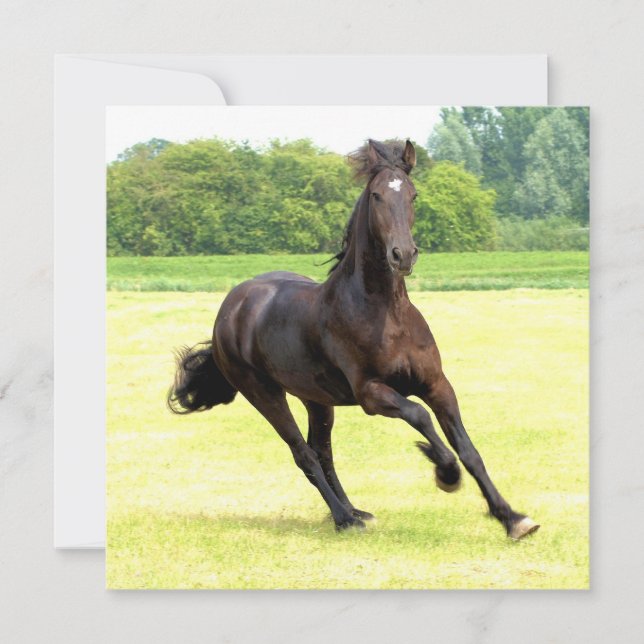 Kvadratisk inbjudan - Anpassad (Framsida)